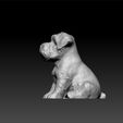dog2.jpg Dog - cute dog - toy for kids - decorative dog 3d model for download
