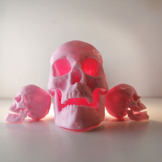 SKULL LAMP - HighPoly3DScan 3D model