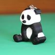 IMG_5579.JPG PANDA