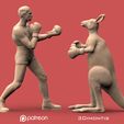 32342342.jpg Boxer vs Kangaroo
