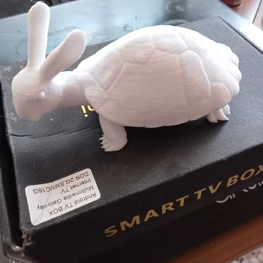 turtle rabbit tartaruga coniglio 3D model
