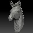 6.jpg 3d print model of Zebra head.