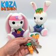 InShot_20240205_175403377.jpg Bunny Brothers, cute baby rabbits and their articulated carrot keychain