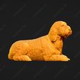 1079-Basset_Griffon_Vendeen_Petit_Pose_09.jpg Basset Griffon Vendeen Petit Dog 3D Print Model Pose 09