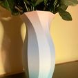 IMG-20240130-WA0006.jpg Twisted vase