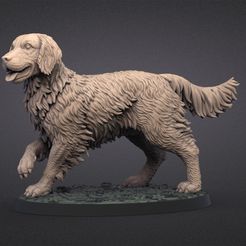 gold_retr.374.jpg 3D file Golden Retriever・3D printable model to download