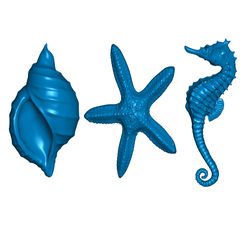 SLMfront.png Free STL file Sea Life Refrigerator / Whiteboard Magnets・3D printing template to download