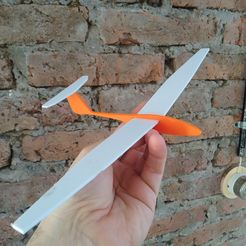 IMG_20200516_141024.jpg Free STL file Glider・3D printable design to download