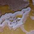 20231105_114513.jpg Mustang Pony Cookie Cutter 2 in 1