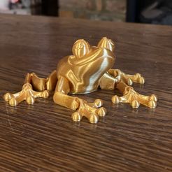 Makes of Cute Flexi Print-in-Place Frog by FlexiFactory