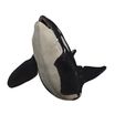 219.jpg ORCA Killer Whale Dolphin FISH sea CREATURE 3D ANIMATED RIGGED MODEL