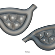 Endocrine_Glands_Matcap_1.png Анатомия эндокринных желез