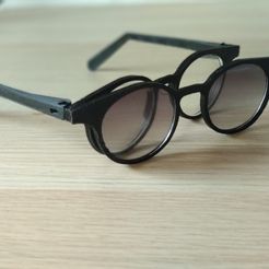 IMG_20180310_100421[1].jpg modular glasses