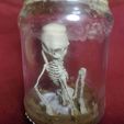 IMG_20220218_194810.jpg Alien-Skelett, Skelett im Einmachglas