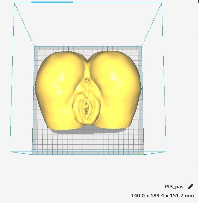 Sin título-1.jpg Download STL file pocket pussy and ass • 3D print design, Darkas2