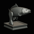 common-carp-trophy-2-2-1-29.png COMMON CARP (CYPRINUS CARPIO) fish in motion trophy statue detailed texture for 3d printing
