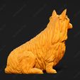 685-Australian_Terrier_Pose_05.jpg Australian Terrier Dog 3D Print Model Pose 05