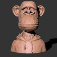 201.jpg BROAD APE NFT monkey
