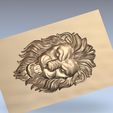 lion_head5.jpg lion head