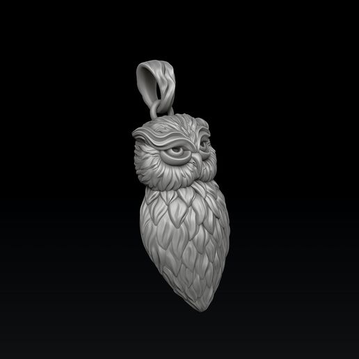 erftew98sgt45srf54sdfgvds4s65g.jpg Colgante búho v2 Modelo de impresión 3D