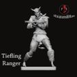 Tiefling-Ranger.jpg Miniature Set Rangers
