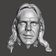 Screenshot-1213.png WWE WWF LJN Style Barry Windham Custom Head Sculpt