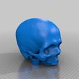 wfu_cbi_skull-hollow.jpg Cleaned Hollow Skull