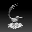 23423423432432.jpg colibri humming bird