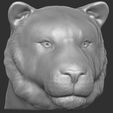 3.jpg Tiger head for 3D printing