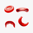 NS_Tumbnail.png Cross Section of Normal vs Sickle Red Blood Cell
