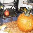 SDC10001.JPG 3d scann of real pumpkin
