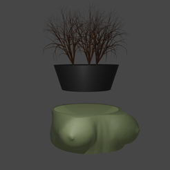 1.png STL file Boobs Pot・3D print model to download