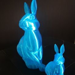 IMG_20190119_142736.jpg 3D-Datei Rabbit LED night light・Design für den 3D-Druck zum Herunterladen