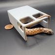 hognose_in_pencil_case.jpg Baby Snake or Reptile Hide with Built-In Perch