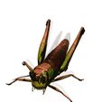 5.jpg DOWNLOAD Grasshopper 3D MODEL - ANIMATED - INSECT Raptor Linheraptor MICRO BEE FLYING - POKÉMON - DRAGON - Grasshopper - OBJ - FBX - 3D PRINTING - 3D PROJECT - GAME READY-3DSMAX-C4D-MAYA-BLENDER-UNITY-UNREAL - DINOSAUR -