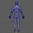 wireframe2.JPG Anatomically correct muscular male body Low and High Poly Low-poly 3D model