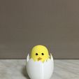 image1.jpeg Easter egg with chicken inside decoration