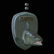 zander-head-trophy-4.png fish head trophy zander / pikeperch / Sander lucioperca open mouth statue detailed texture for 3d printing