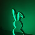 IMG_2058.jpeg Easter Banny silhouette LED LIGHT