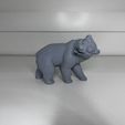 IMG_9964.jpeg Brother Bear Fan Art Statue/Figure