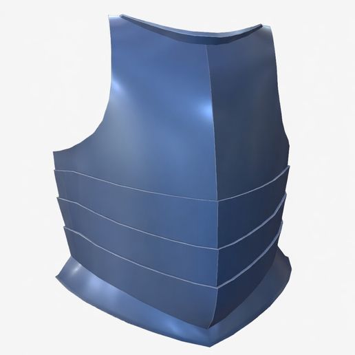 Tactical Body Armor Vest