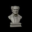 29.jpg Arthur Schopenhauer 3D printable sculpture 3D print model