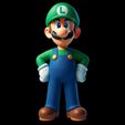 WhatsApp-Image-2025-04-18-at-23.28.58.jpeg Luigi - 3D Model for Printing