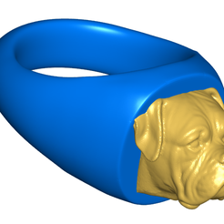 boxerside.png Free STL file Boxer Dog Signet Ring with Resizing Instructions・Object to download and to 3D print