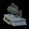 White-grouper-statue-16.png fish white grouper / Epinephelus aeneus statue detailed texture for 3d printing