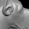 21.jpg Great Dane head for 3D printing