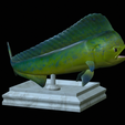 mahi-mahi-model-1-10.png fish mahi mahi / common dolphin trophy statue detailed texture for 3d printing