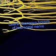 spinal-cord-symphathetic-intercostal-nerve-labelled-detail-3d-model-82f0b339fc.jpg Spinal cord symphathetic intercostal nerve labelled detail 3D model