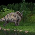 dino6.jpg Triceratops Realistic Dinosaur low/ high Poly