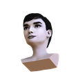 untitled.717.png Audrey Hepburn black and white bust for full color 3D printing